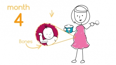 9 Months in 90 Seconds: Pregnancy Month by Month