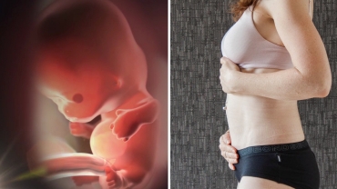 Fetal Development: Your Baby's Growth During the First Trimester