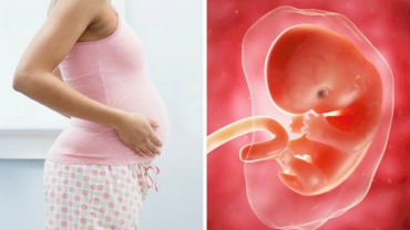 First Trimester: What Happens to Your Unborn Baby?