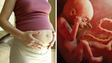 Second Trimester: What Happens to Your Unborn Baby?