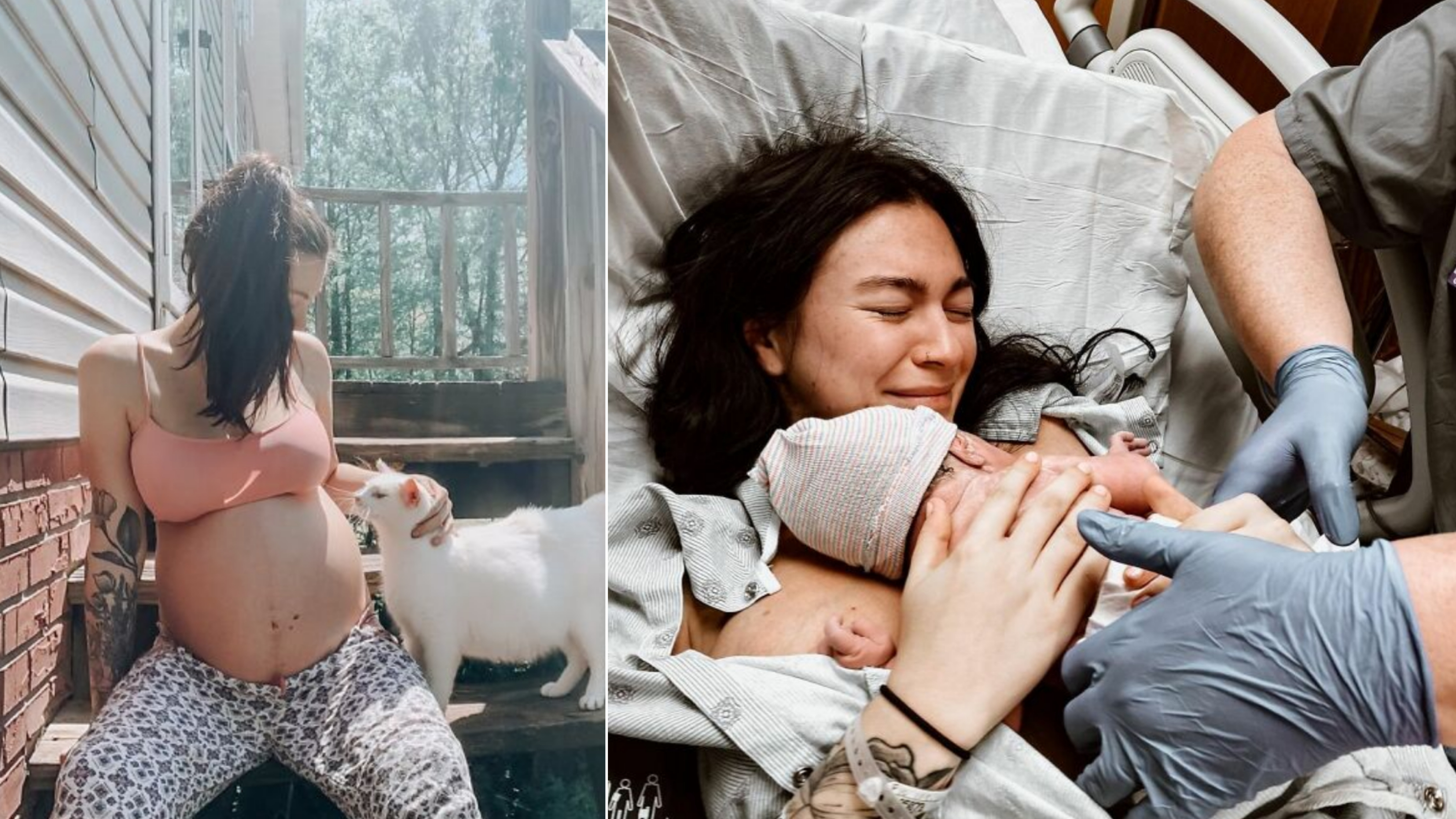 Pregnant Woman And Cat Give Birth At The Same Time After She Found The Pregnant Cat And Fostered Her