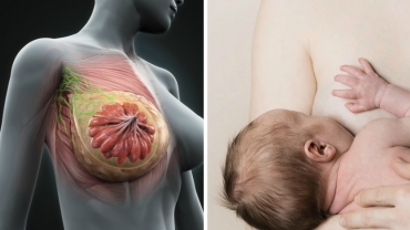 10 Tips for Increasing Your Breast Milk Supply