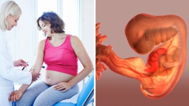 Counsyl Informed Pregnancy Screen