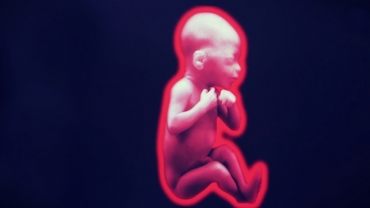 Effects of Smoking in Pregnancy: Dangers to Your Baby