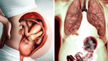 How Smoking Affects Your Baby During Pregnancy?