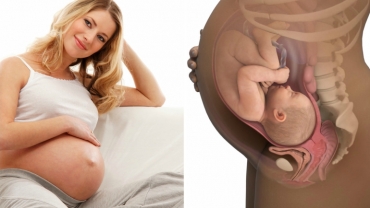 Babies Need 40 Weeks: Importance of Waiting Full Term to Deliver