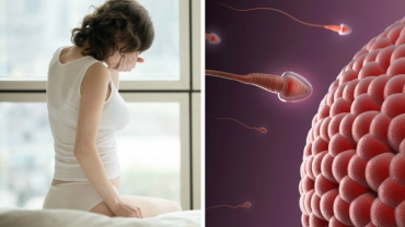 Life in the Womb: A Must See