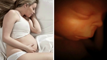 Life in the Womb: Halfway Landmarks