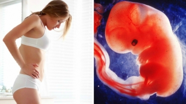 Life in the Womb: Heart Starts Beating