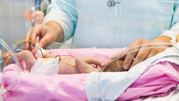 Miracle Birth: A Baby Born in 55 Days After its Mother's Death