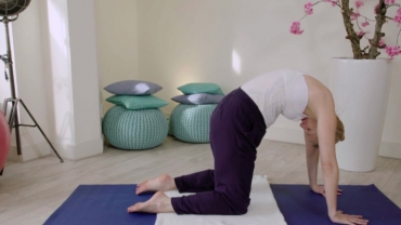 Prenatal Pilates: Cat Cow Stretch