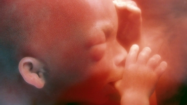 What is the Point at Which Human Life Begins?