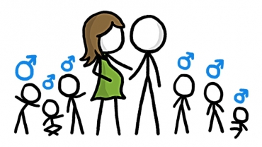 Why Do We Have More Boys Than Girls?