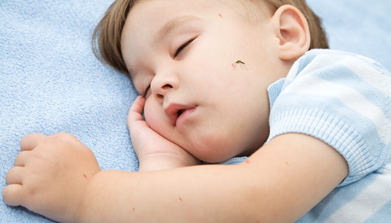 Baby Care: How to Treat Bug Bites?