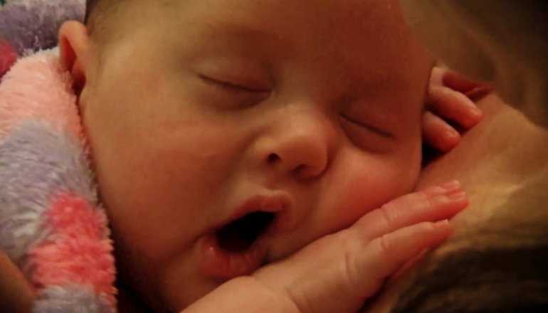 We Kangaroo - Do You?