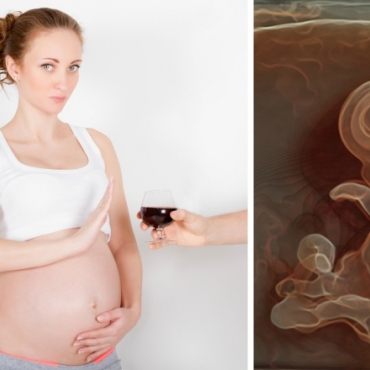 Can You Drink Alcohol When You Are Pregnant?