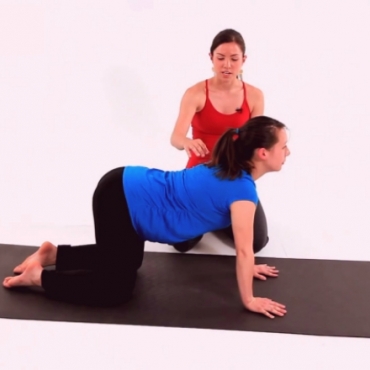 Prenatal Yoga: Cow Cat Stretch Pose
