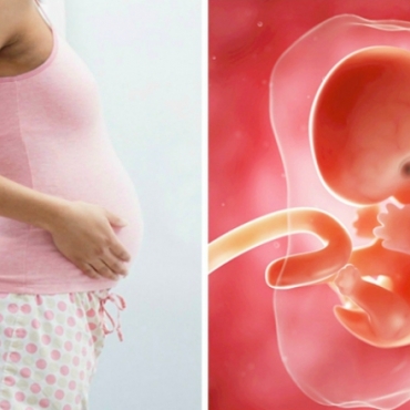 First Trimester: What Happens to Your Unborn Baby?