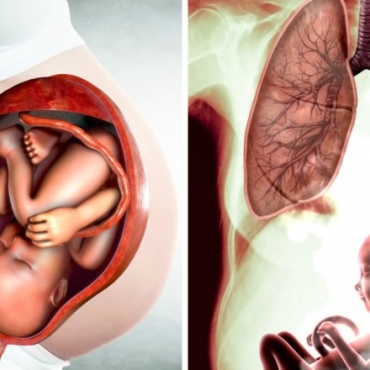 How Smoking Affects Your Baby During Pregnancy?