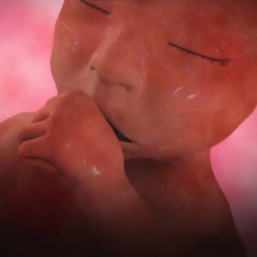 Pregnancy Week 23 - Six Months Pregnant