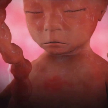 Pregnancy Week 24 - Six Months Pregnant