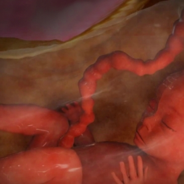 Pregnancy Week 26 - Six Months Pregnant