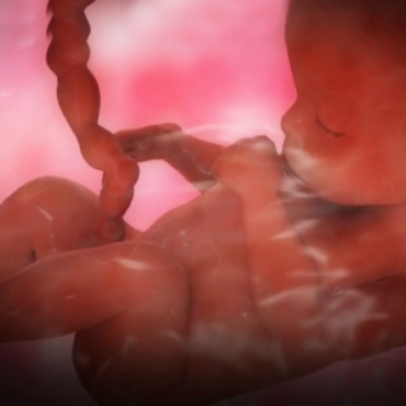 Pregnancy Week 29 - Seven Months Pregnant