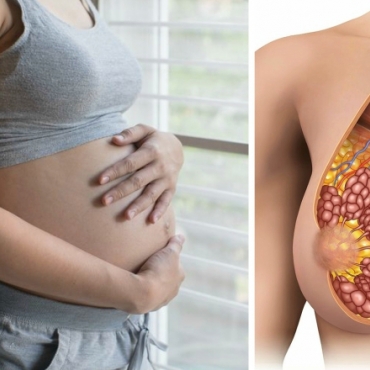 Pregnancy: Where Your Breast Milk Starts