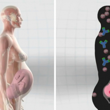 Secondhand Smoke Exposure During Pregnancy