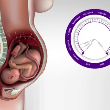 Syphilis Infection in Pregnancy