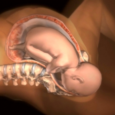 The Process of Giving Birth: Vaginal Delivery