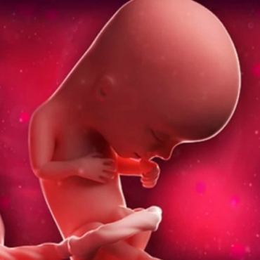 What is Happening at 12 Weeks Pregnant?