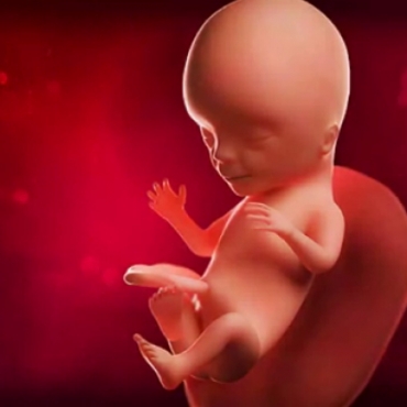 What is Happening at 14 Weeks Pregnant?