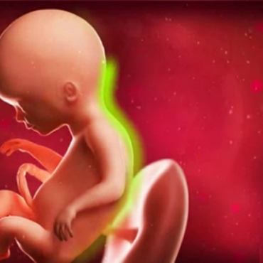 What is Happening at 16 Weeks Pregnant?