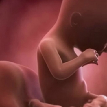 What is Happening at 17 Weeks Pregnant?