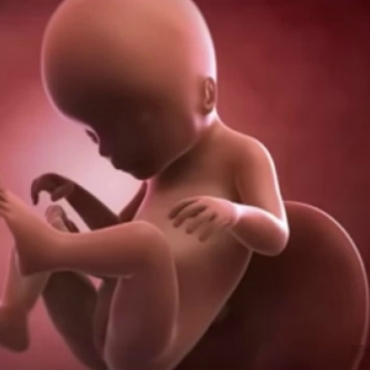 What is Happening at 18 Weeks Pregnant?