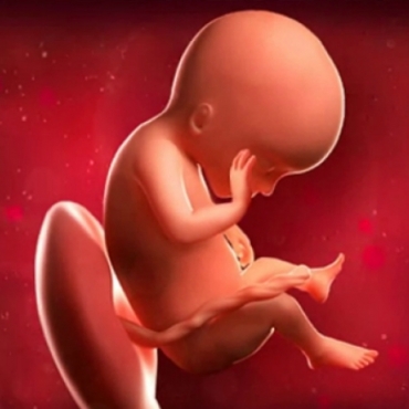 What is Happening at 19 Weeks Pregnant?