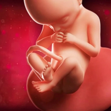 What is Happening at 21 Weeks Pregnant?