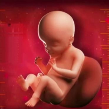 What is Happening at 22 Weeks Pregnant?