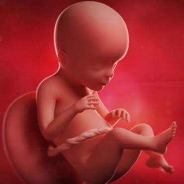 What is Happening at 23 Weeks Pregnant?