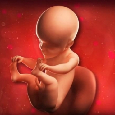 What is Happening at 24 Weeks Pregnant?