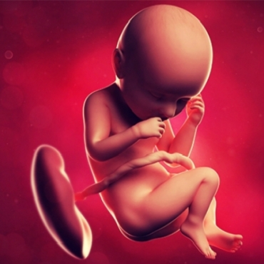 What is Happening at 37 Weeks Pregnant?